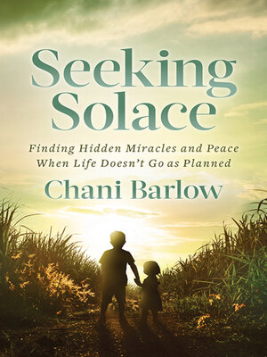 cover image of Seeking Solace